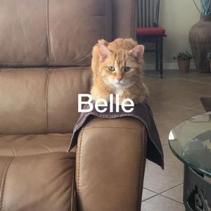 Meet your Posher, Nancy